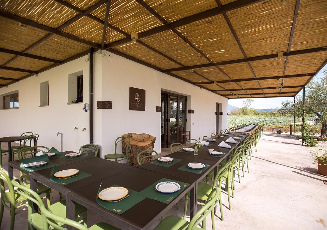 Casa Agricola Scorziello Villa Serre  Ngoại thất bức ảnh